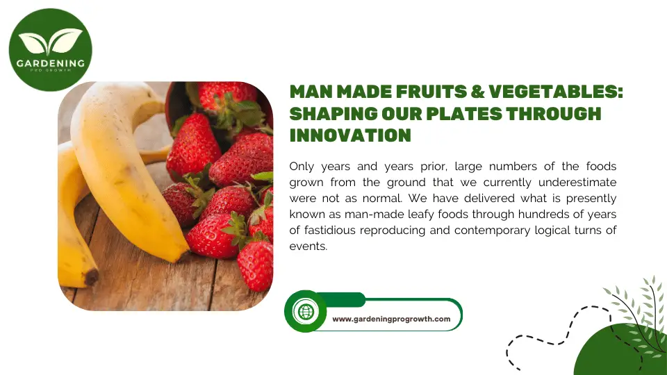 man made fruits & vegetables