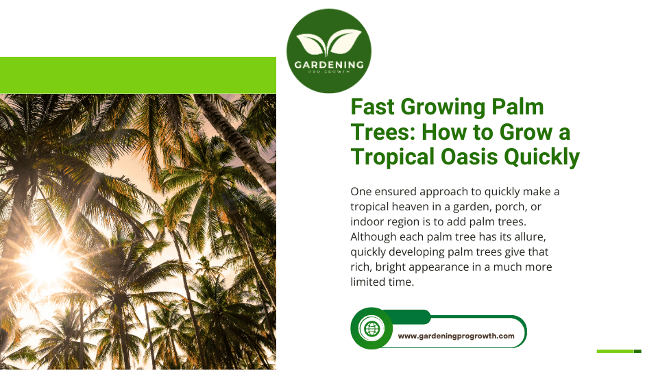 Fast Growing Palm Trees