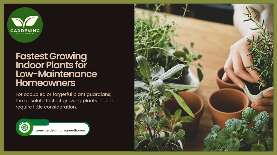 Fastest Growing Indoor Plants for 