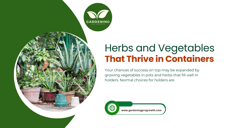 Herbs and Vegetables That Thrive in Containers