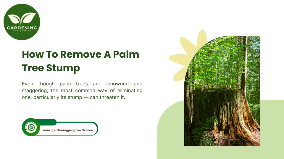 How To Remove A Palm Tree Stump