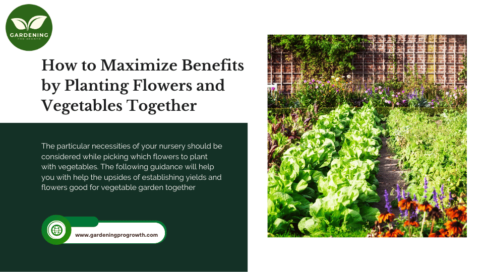 Maximize Benefits by Planting Flowers and Vegetables Together