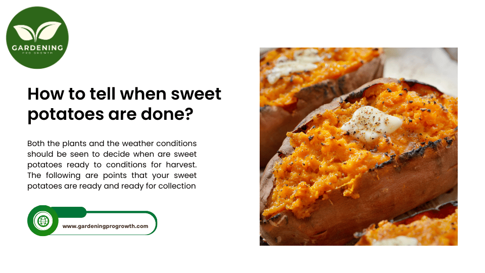 How to tell when sweet potatoes are done