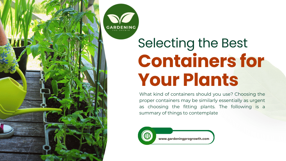 Selecting the Best Containers for Your Plants