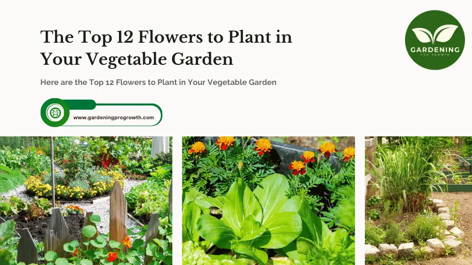 Flowers to Plant in Your Vegetable Garden