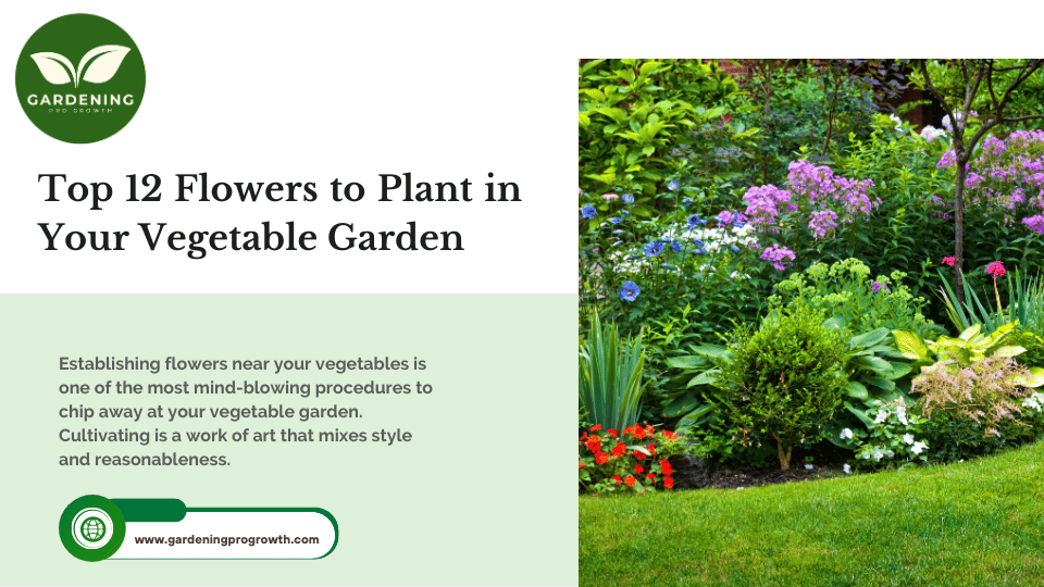 Flowers to Plant in Your Vegetable Garden