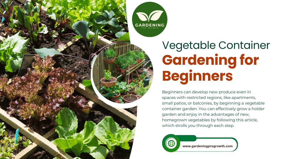 Vegetable Container Gardening for Beginners