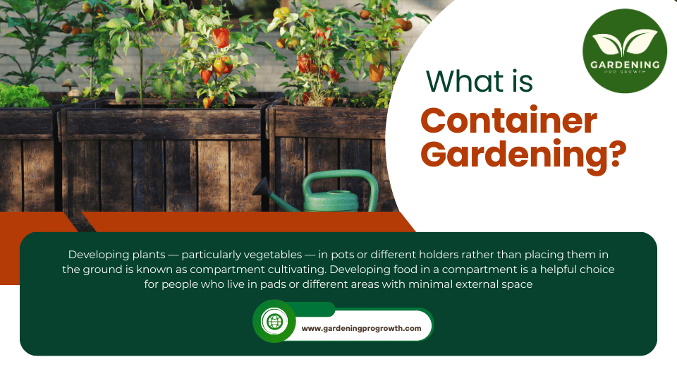 What is Container Gardening