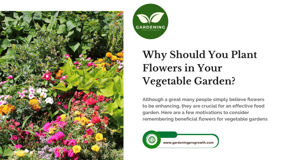 Why Should You Plant Flowers in Your Vegetable Garden